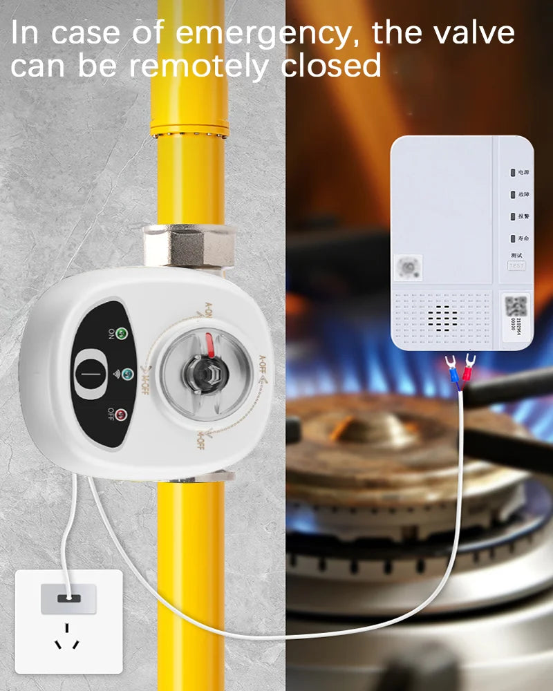 eWelink APP WiFi Smart Valve Water Gas Shutoff Automated Ball Valve DN15/DN20/DN25 Wireless Control For Alexa Google Alice Oasis Select