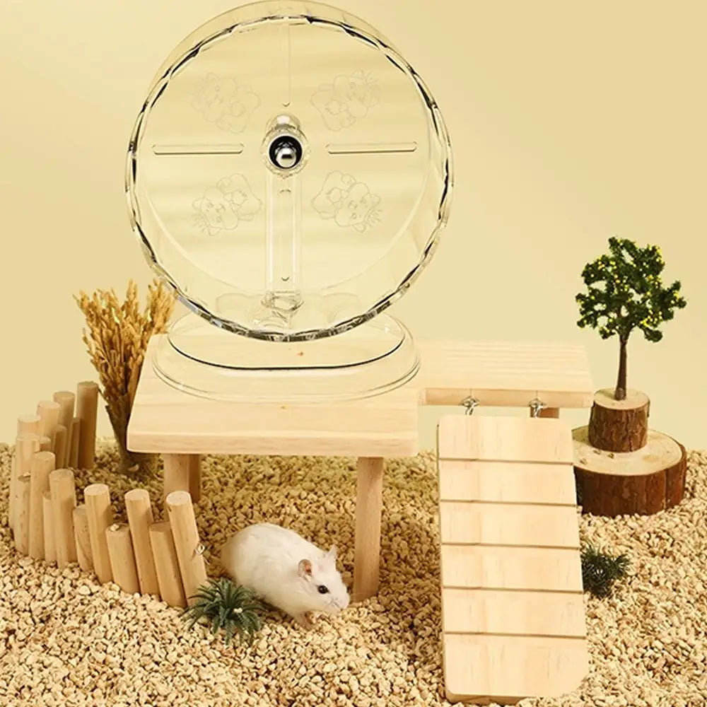 Hamster Transparent Running Wheel Toy For Hamster Quiet Running Exercise Toy Easy To Disassemble And Clean Pets Accessories Oasis Select