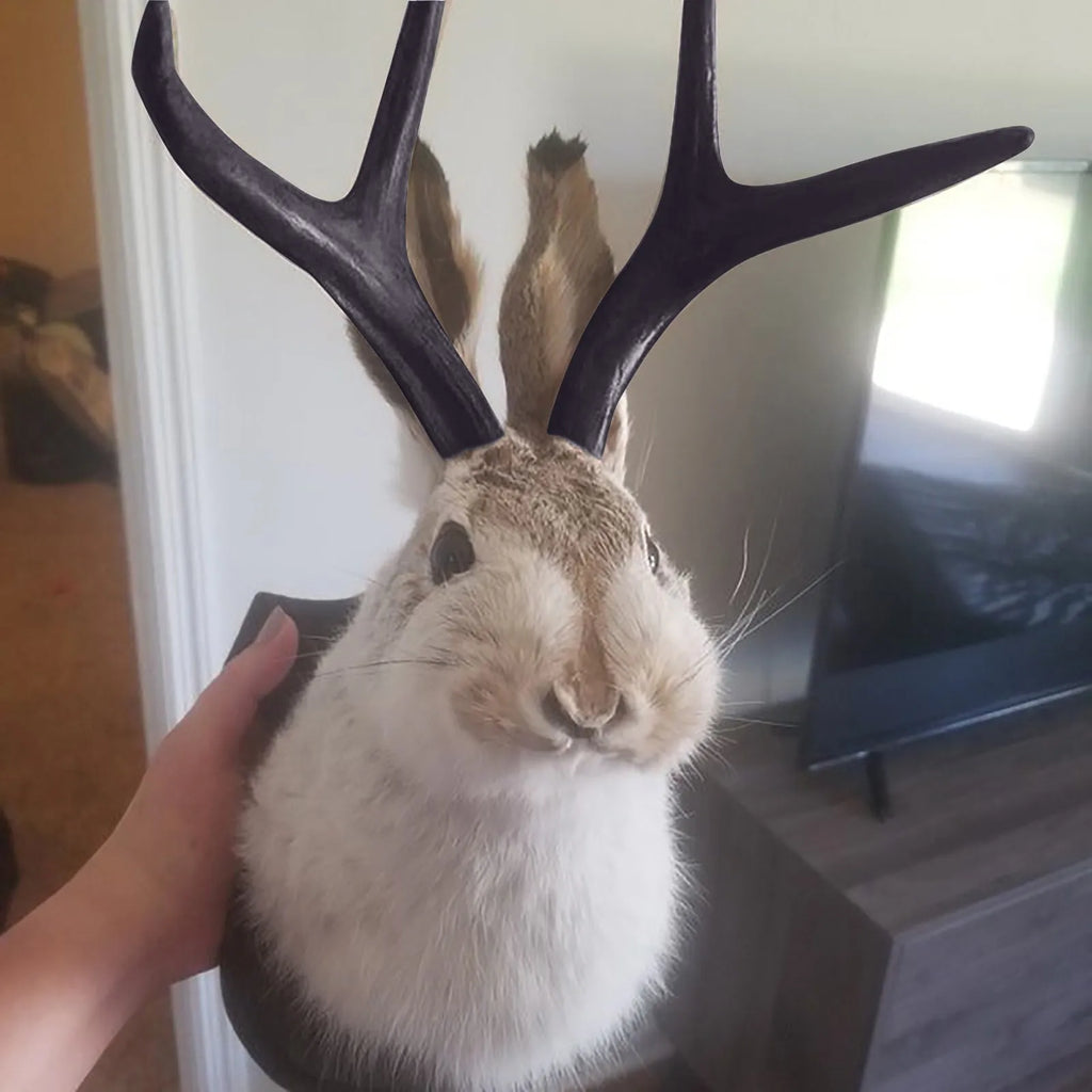 Easter Gift Bunny Head Antlers Wall Hanging Decoration Wall Decor Simulation Rabbit Specimen Resin Art Ornaments Jackalope Decor Oasis Select
