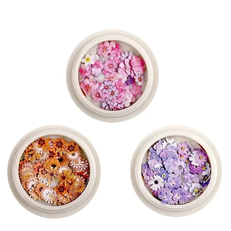 1/3/4Pcs Mixed-color Dried Flowers Resin Craft Dry Flowers Nail Art Decoration Natural Ultra-thin Mini Nail Flowers Oasis Select 04-06-09