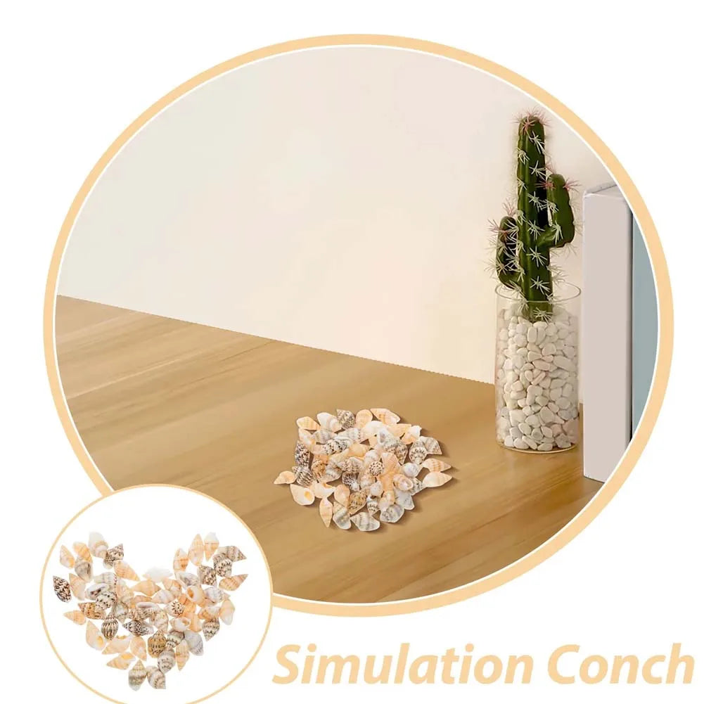 1 Box Small Shell Conch Starfish Natural Tiny Ocean Seashells for DIY Beach Theme Decor Art Crafts Projects Fish Tank Vase Fill Oasis Select