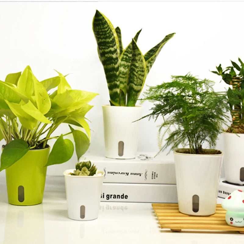 Automatic Self Watering Flower Plants Pot Irrigation Gardening Flower Pots Oasis Select