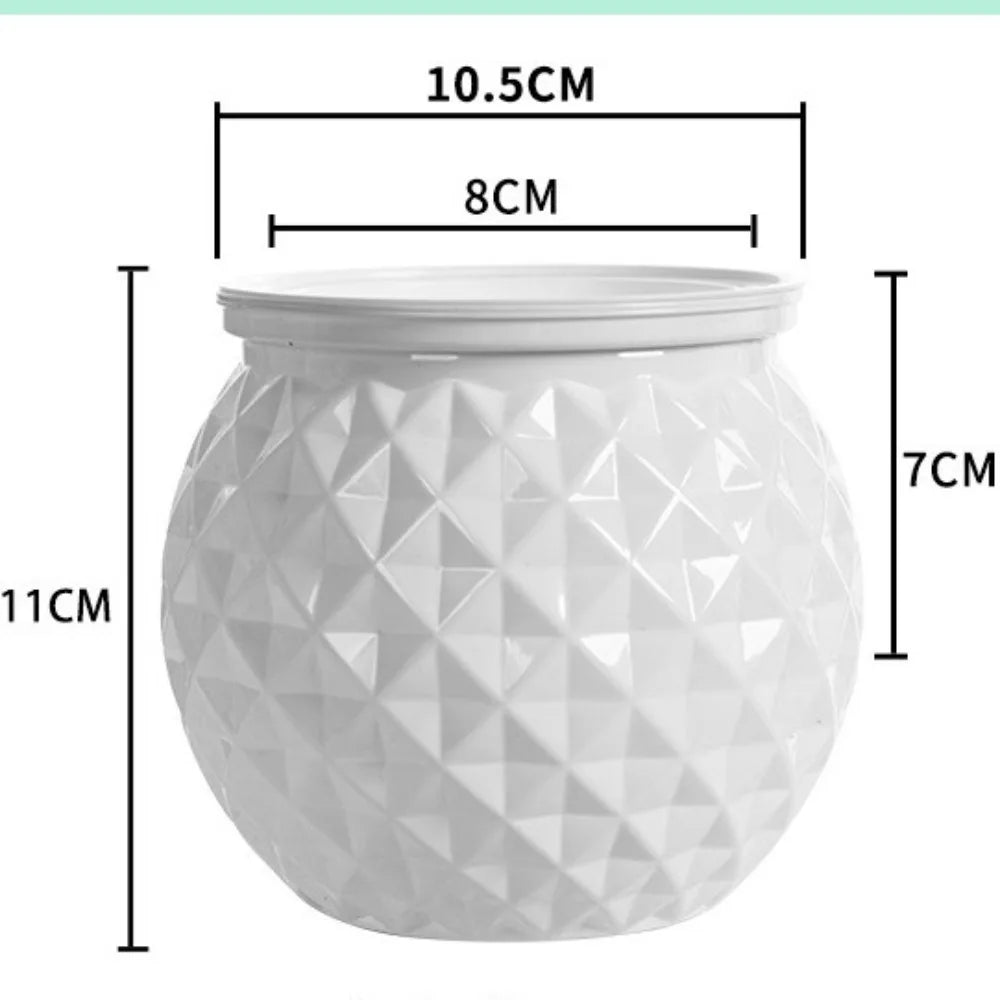 Self-Watering Hydroponic Planter | Mini Succulent Tabletop Pot