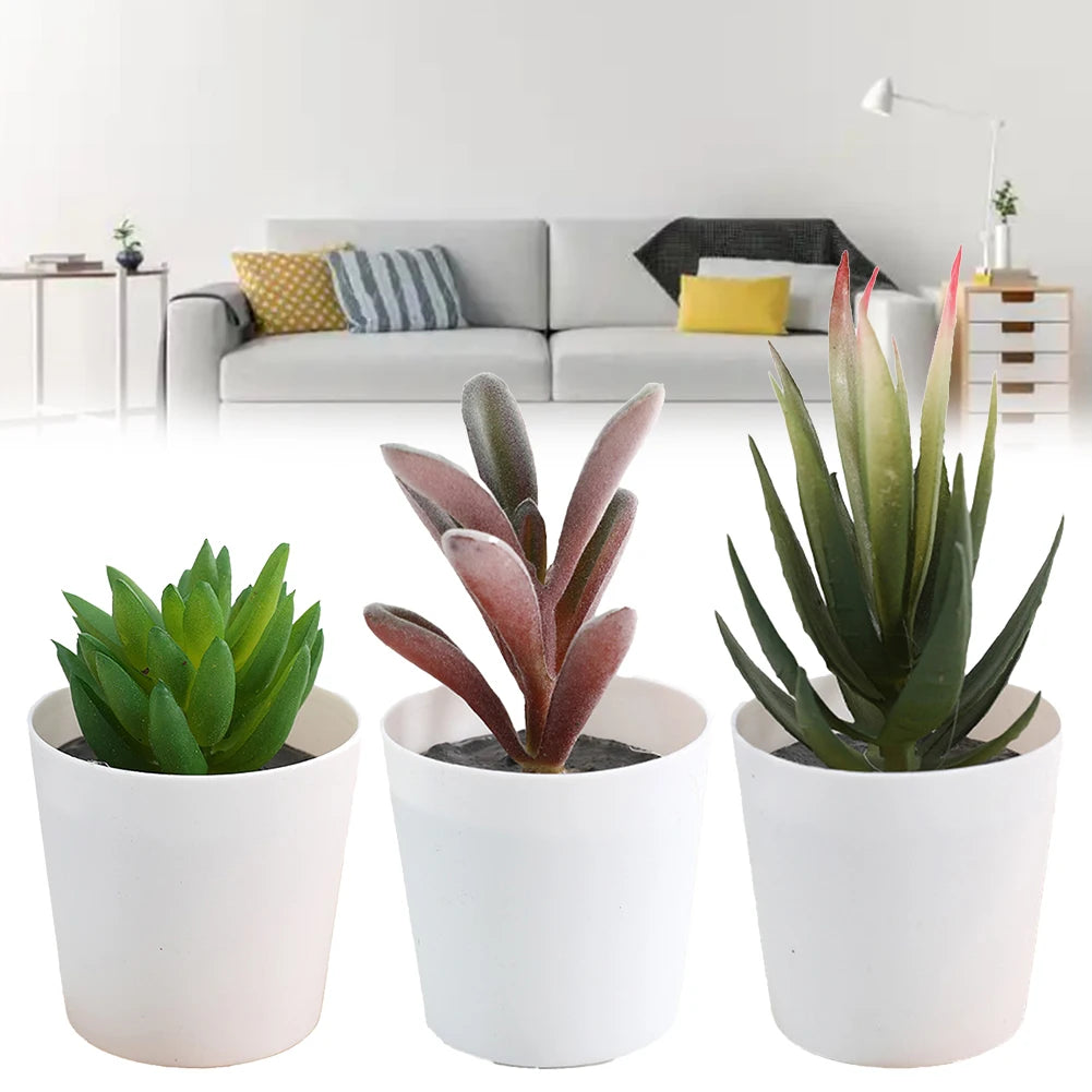 Artificial Succulent Bonsai Set of 3 – Faux Desktop Decor Artificial Succulent Set Oasis Select