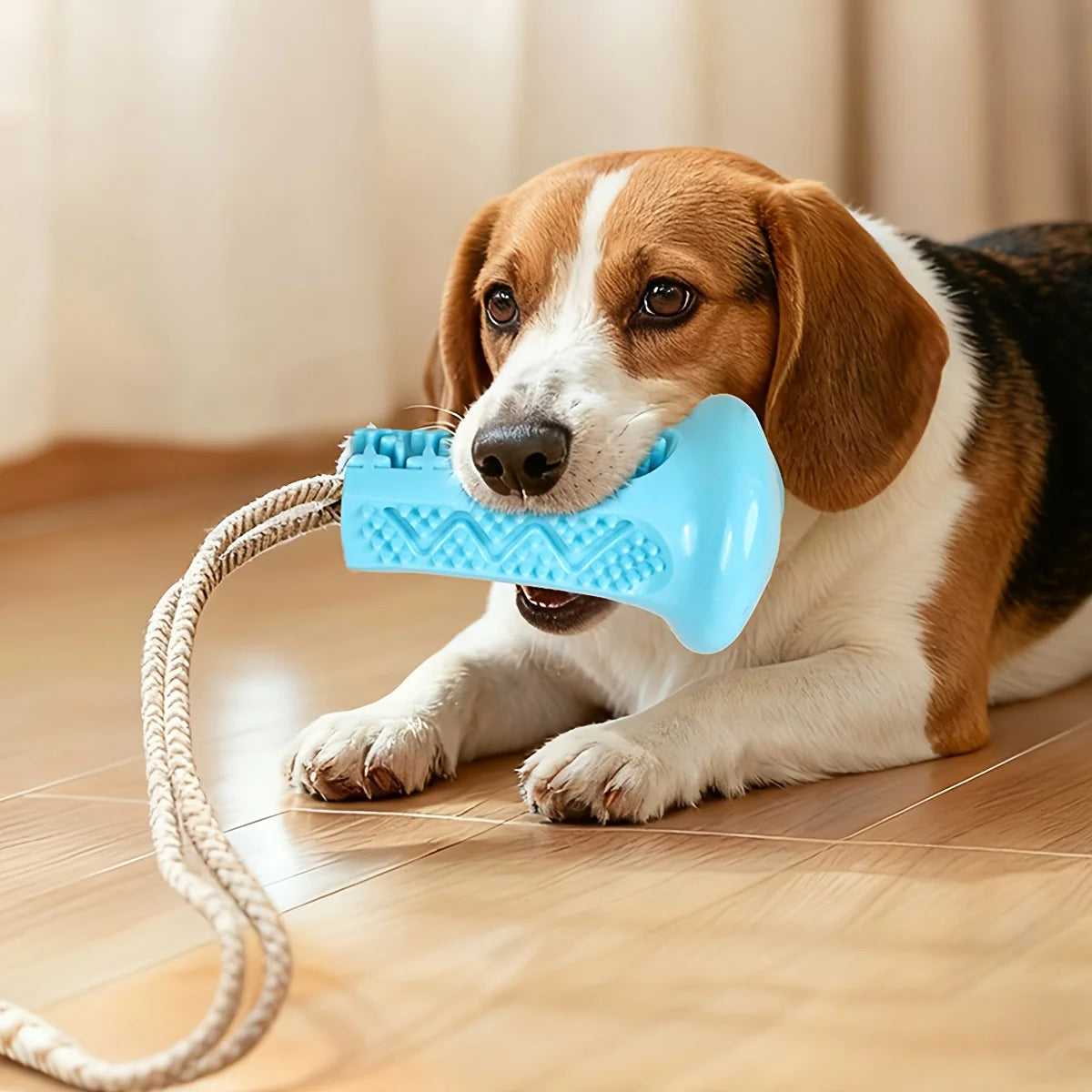 Dog Toy Suction Interactive Chew Toy Teeth Grinding Ball with Food Dispenser Boredom Buster Energy Expenditure Pet Supplies Oasis Select