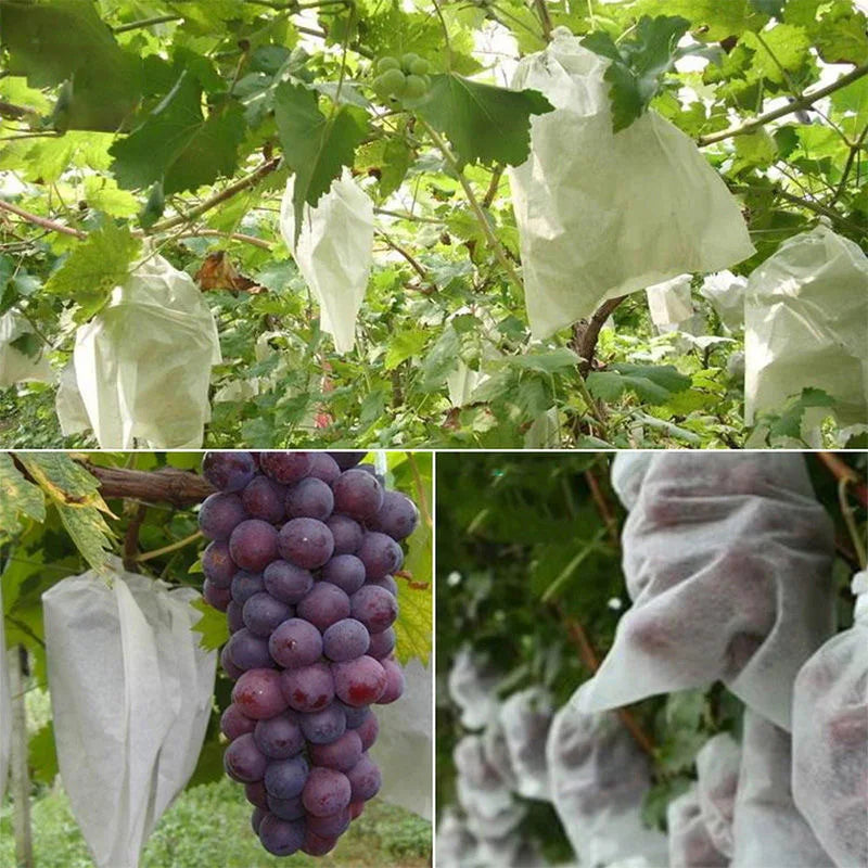 50pcs Fruit Protection Bags,Insect-Proof &Bird-Proof,Breathable Non-Woven Fabric,for Home Garden Vineyard Vegetables Green House Oasis Select