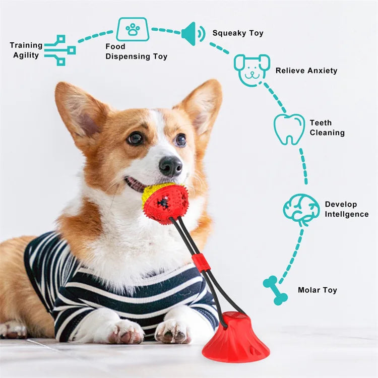 Dog Toys, Teeth Grinding, Food Leakage Device, Suction Cup Ball, Release, Tough To Chew, Dog Toys, Pet Supplies, Chew Oasis Select