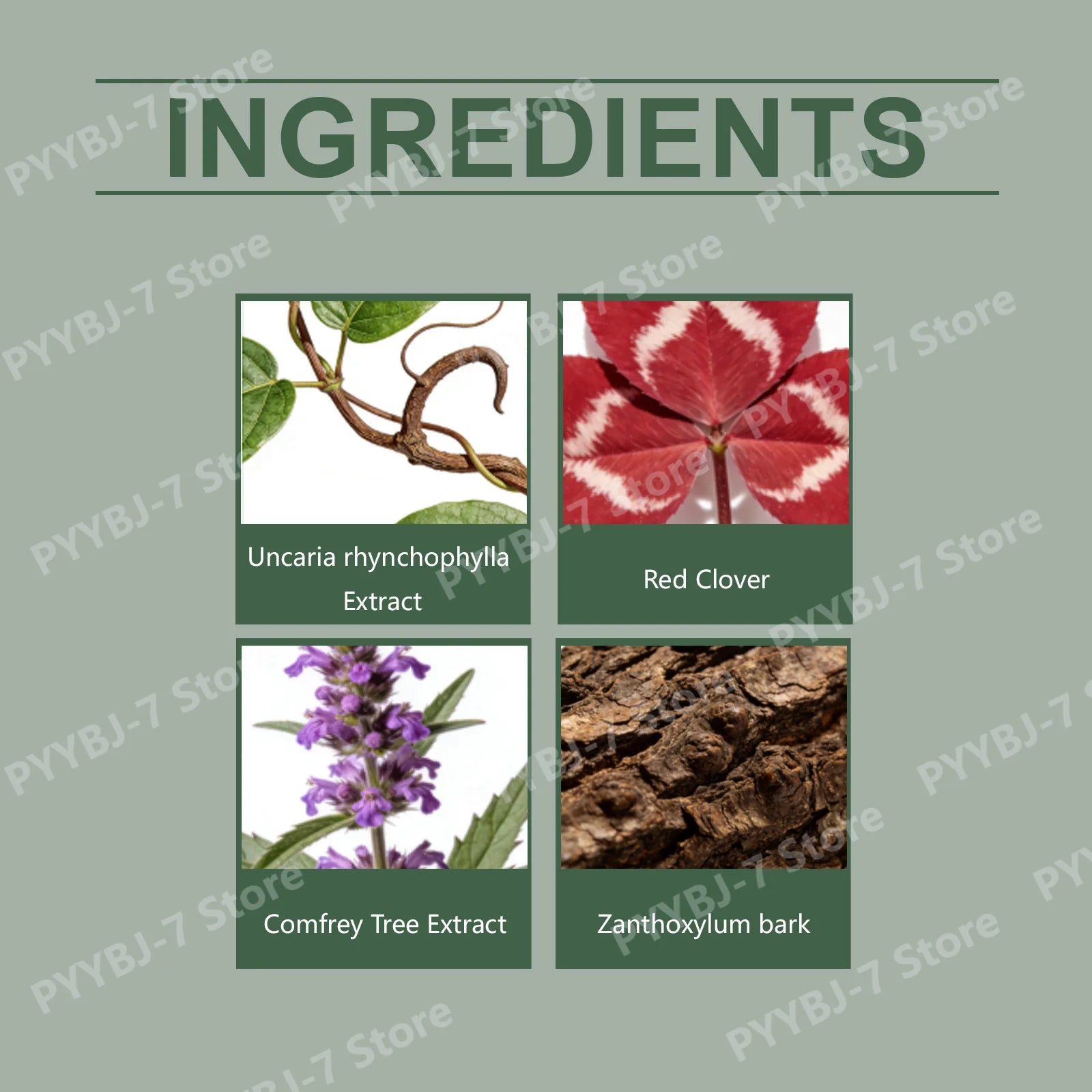Lymphatic Support Herbal Drops – Red Clover & Botanical Blend Herbal Supplement Drops Oasis Select