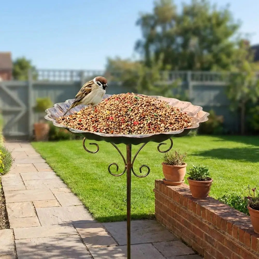 Retro Iron Bird Bath Feeder – Freestanding 5-Pronged Base