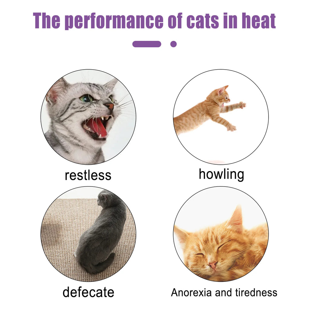 Pet Calming Spray Pheromone Mood Calming Diffuser Improve Estrus Agitation Anxiety Relief Prevent Howling Cat Dog Health Supply Oasis Select