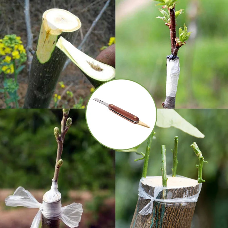 Folding Grafting Knife Grafting Tools Grafting Pruning Knife Professional Garden Fruit Tree Grafting Cutter Wooden Handle Knife Oasis Select