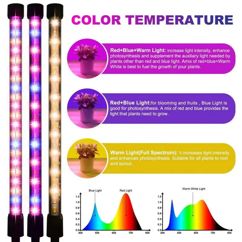 Full Spectrum LED Grow Light for Indoor Plants & Succulents