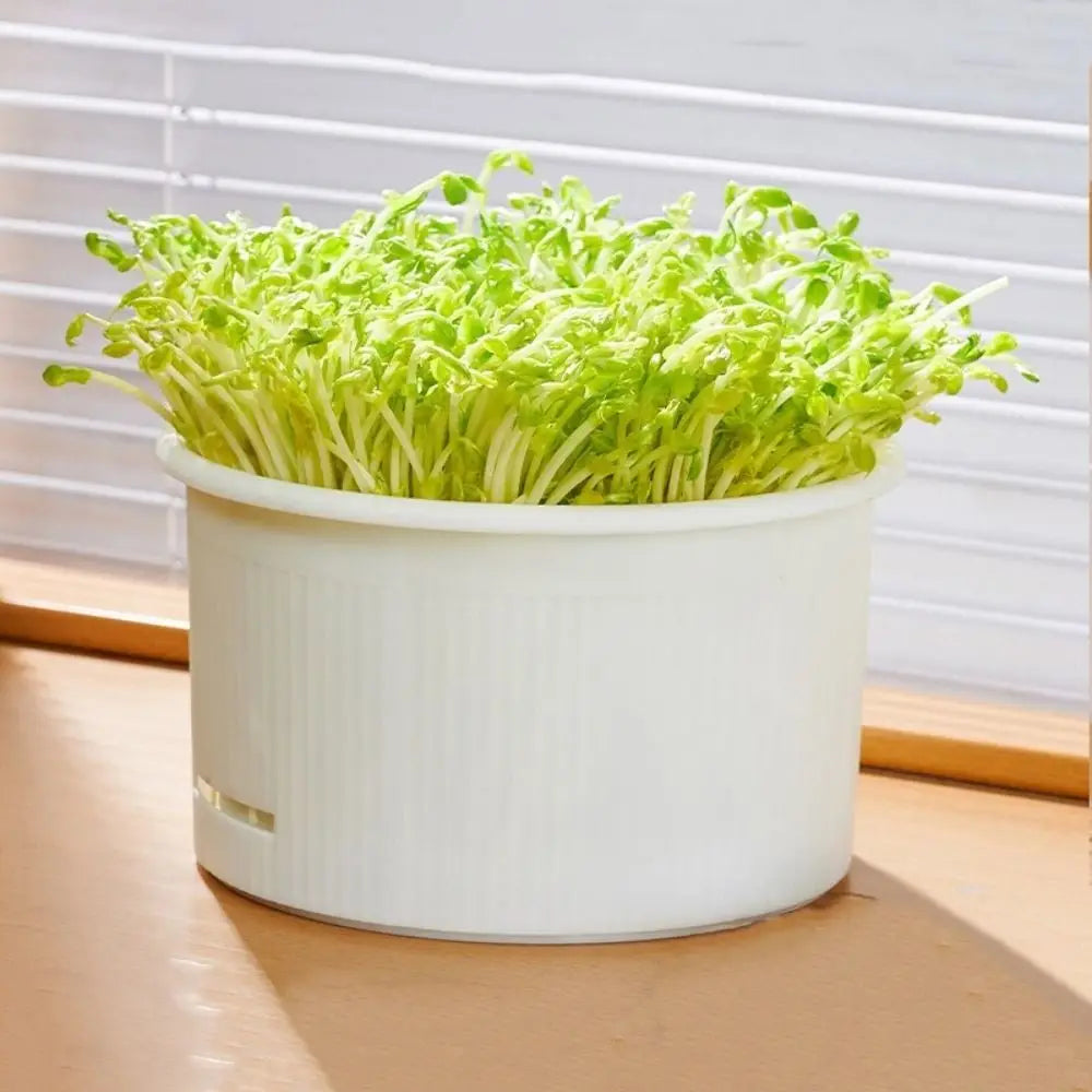 Plastic Bean Sprout Nursery Pots Ventilated Split Structure Healthy Food Sprouter Stackable Non Toxic Bean Sprout Grower Oasis Select