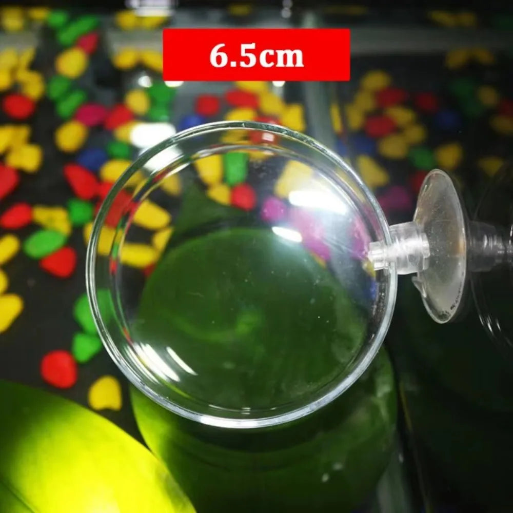 Acrylic Aquarium Feeder Transparent with Suction Cup Aerial Feeding Bowl Universal Fish Shrimp Feeding Dish Oasis Select D