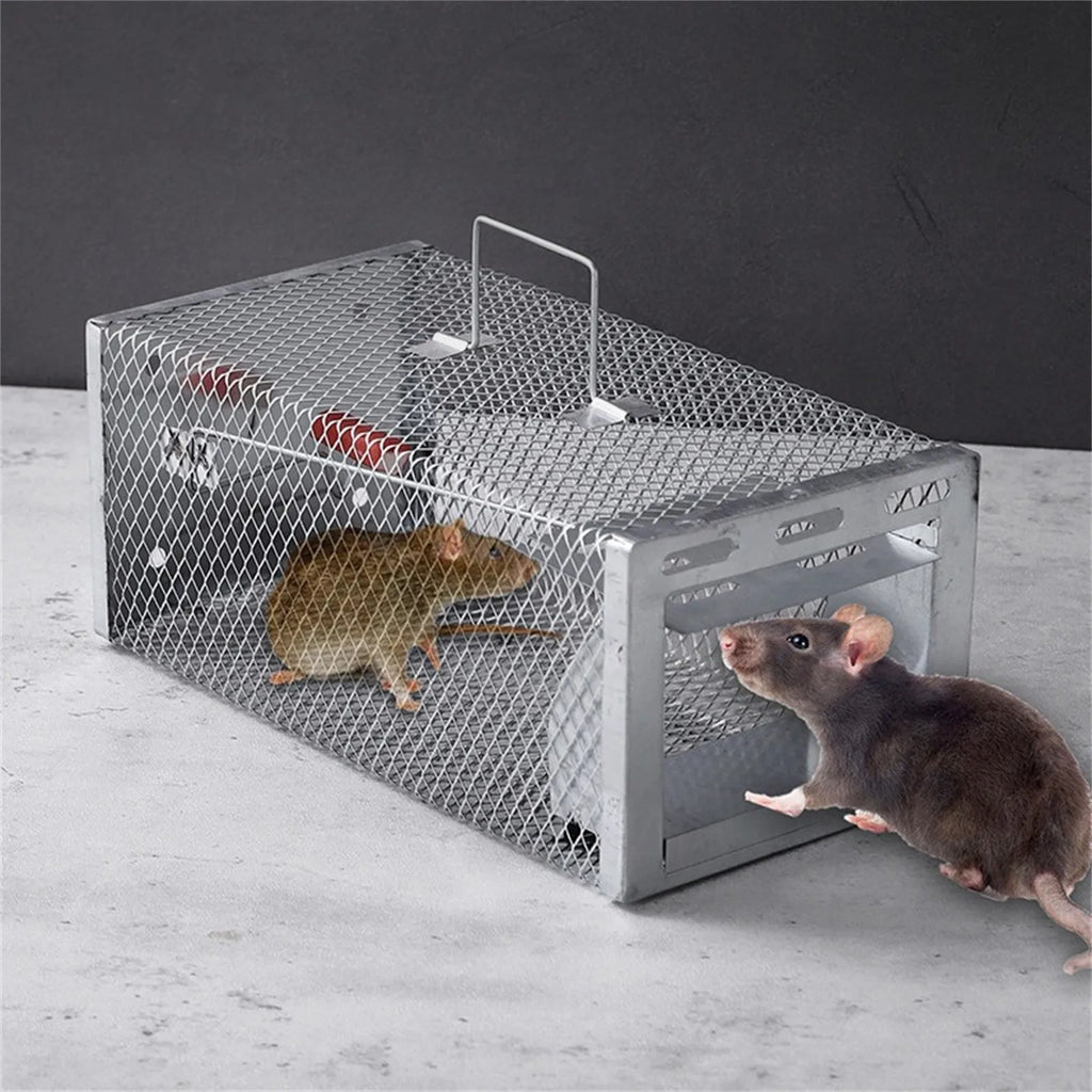 Humane Double Door Live Mouse Trap – Reusable Rat Cage Live Animal Trap Oasis Select
