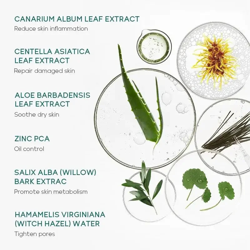 Natural Tea Tree Face Care Kit Complete Routine With Cleanser Moisturizer Toner Serum Gel For Oily Skin Oasis Select