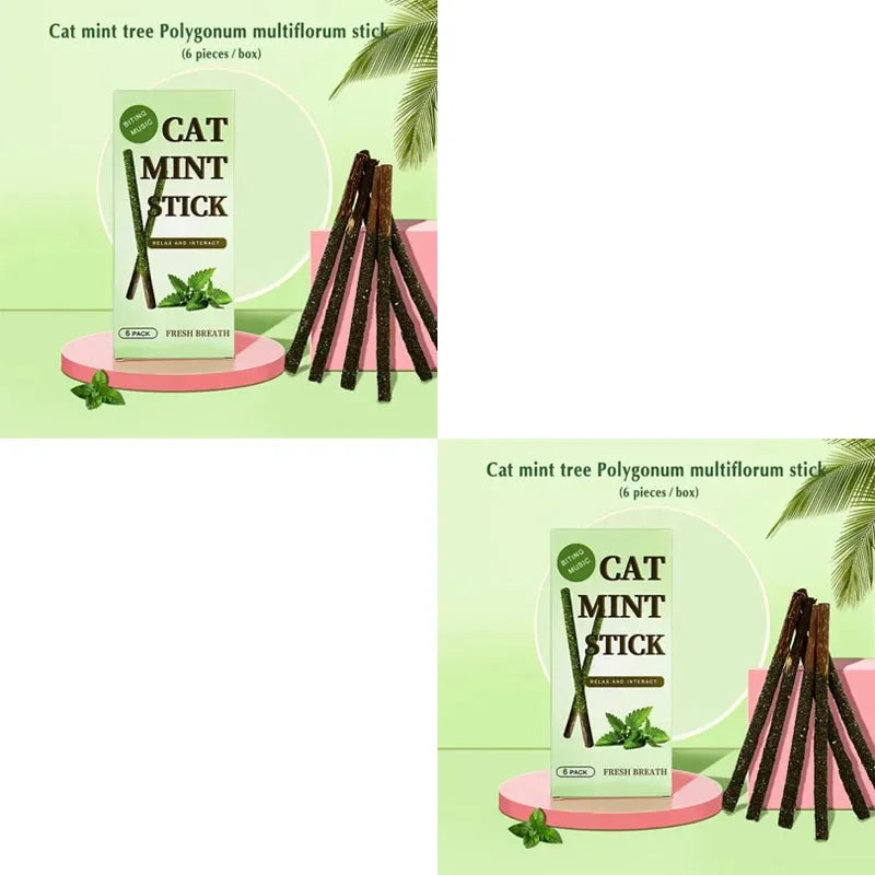 6-24Pcs Natural Matatabi Cat Stick Mint Caught Bite Excited Rods Silvervine For Cat Teeth Cleaning Treating Pet Supply Cat Toys Oasis Select green 12pcs