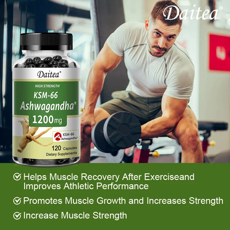 KSM-66 Ashwagandha 1200mg – Stress, Sleep & Mood Support Herbal Supplement Oasis Select