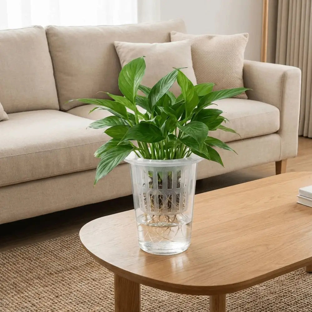Transparent Plastic Hydroponic Mesh Cups Plant Propagation Vegetable Nursery Plant Nursery Pot Flowerpot Root View Cups Oasis Select