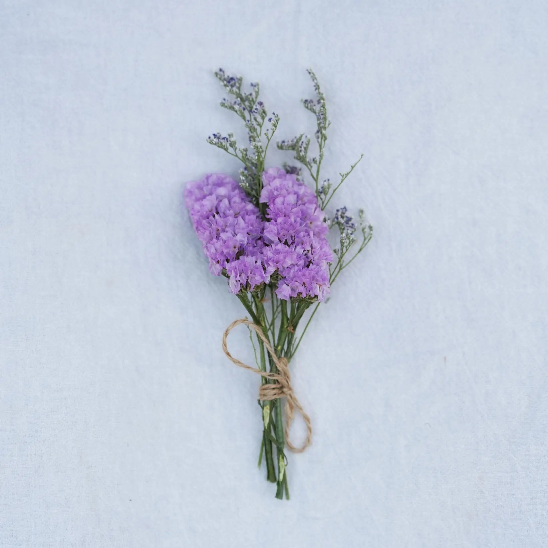 Dried Flower Bouquet High-Quality Fingertip Bouquet Greeting Card Decoration Versatile Diy Flower Kit For Diy Projects Event Oasis Select 8