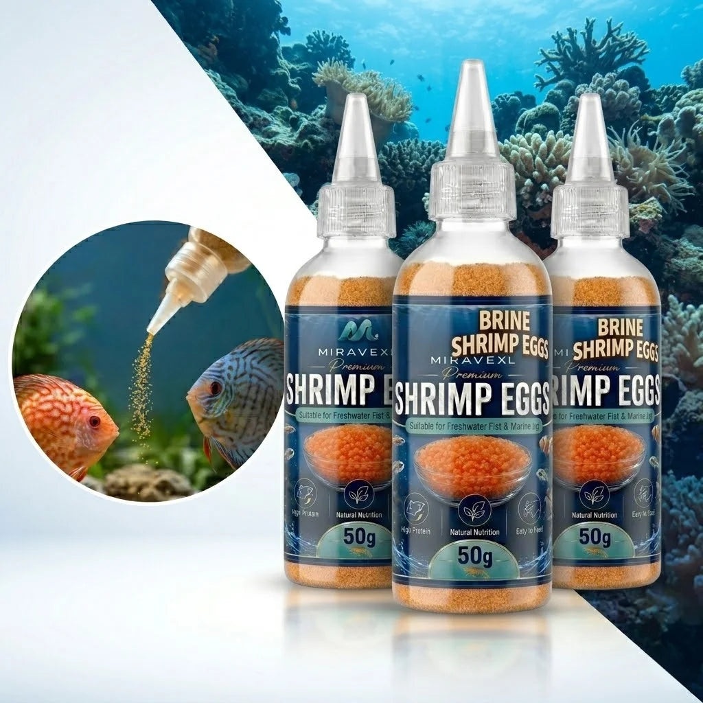 Aquarium Brine Shrimp Eggs Fish Food & Feeder Set Baby Fish Fry Feeding Dispenser Kit Fish Tank Accessories Artemia Cysts Helper Oasis Select