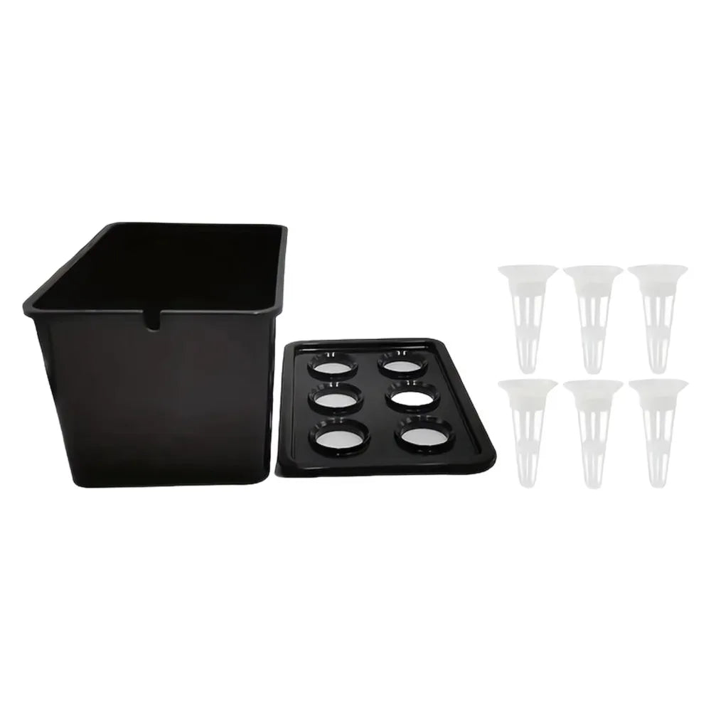 6-Hole Hydroponic Grower Kit | Self-Watering Indoor Herb Garden