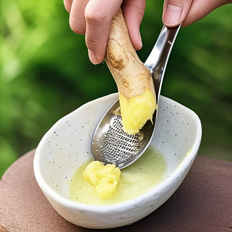 Stainless Steel Garlic Ginger Fruits Root Vegetable Grater Grinder Spoon for Kitchen Oasis Select