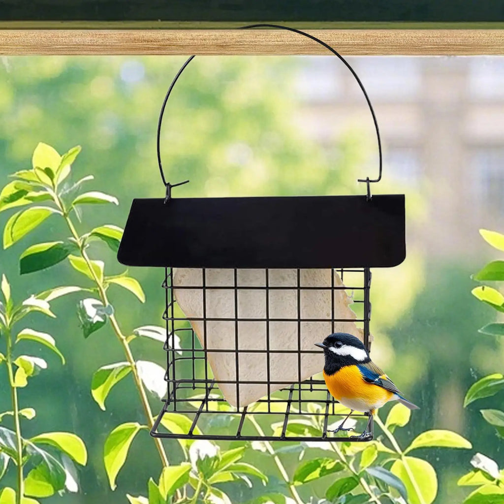 Hanging bird feeder Suet Cakes Cage Bird Feeder washable and reusable feeder wild bird feeder squirrel-proof and weatherproof Oasis Select