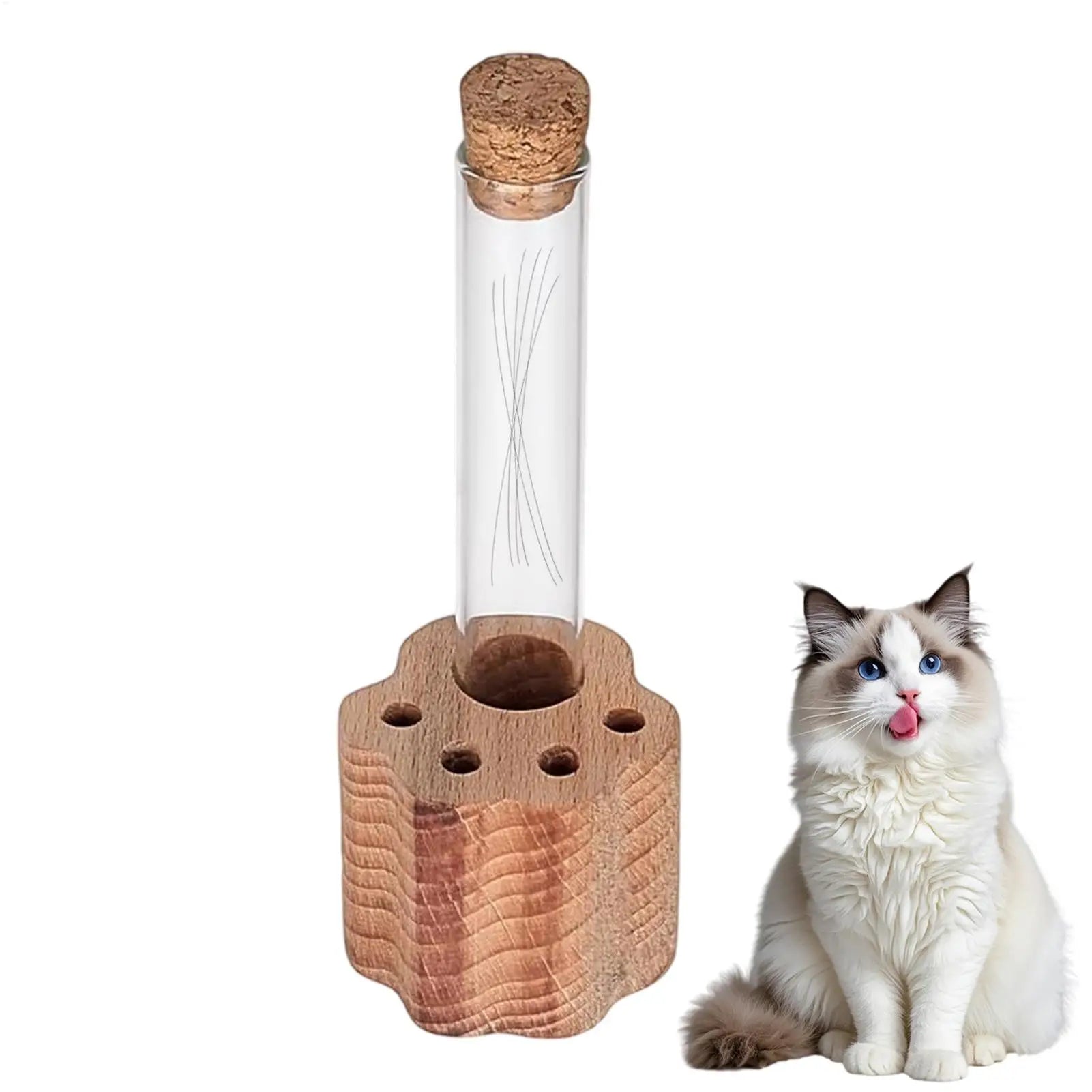 Transparent Glass Loss Of Pet Sympathy Keepsake Cat Whisker Jar Cat Whisker Collection for Women Men Adults Father Mother Friend Oasis Select