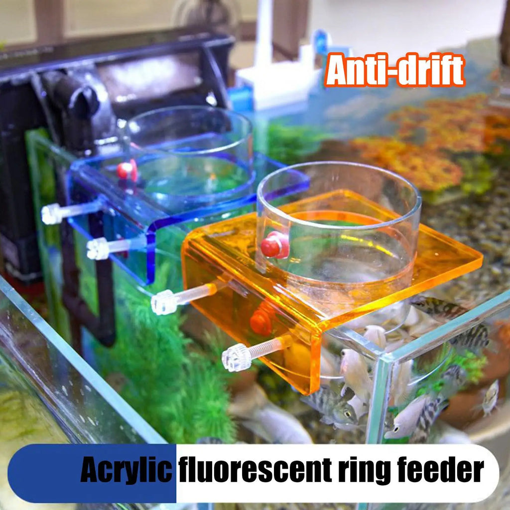 Feeding Dish Aquarium Fish Tank Reptiles Feeder Bowl with Suction Cup Acrylic Fluorescent Fish Feeding Aquarium Supplies Oasis Select