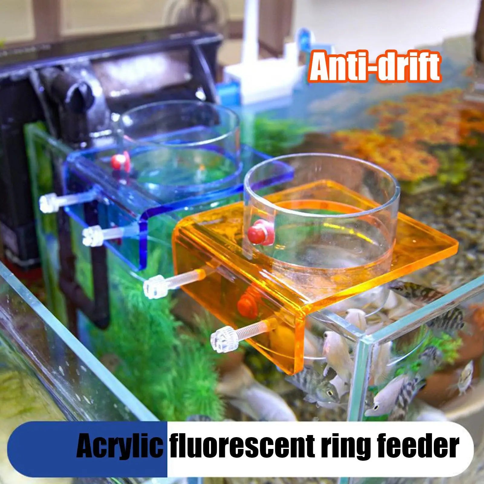 Feeding Dish Aquarium Fish Tank Reptiles Feeder Bowl with Suction Cup Acrylic Fluorescent Fish Feeding Aquarium Supplies Oasis Select