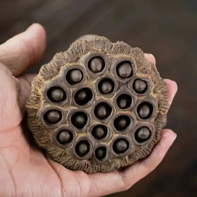 Yixing Zisha Tea Pet Lotus Pod Ornament Old Lotus Seed Sculpture Craft Tea Set Tea Ceremony Ceramic Accessories Miscellaneous Oasis Select Style 4 2