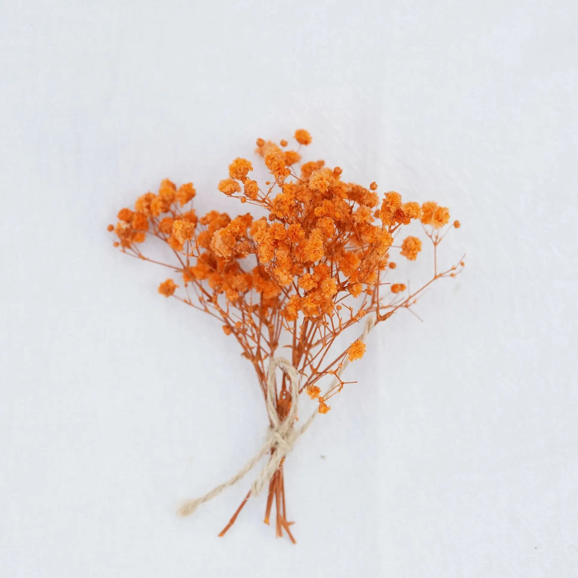 Dried Flower Bouquet High-quality Fingertip Greeting Card Decoration