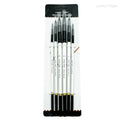 6pcs Paint Brushes Set for Acrylic Painting,Watercolor,Oil，Inks，Gouache，Crafts, Brush Tip Flat，Round, Angle，Filbert,Paint Oasis Select 6Black White Round