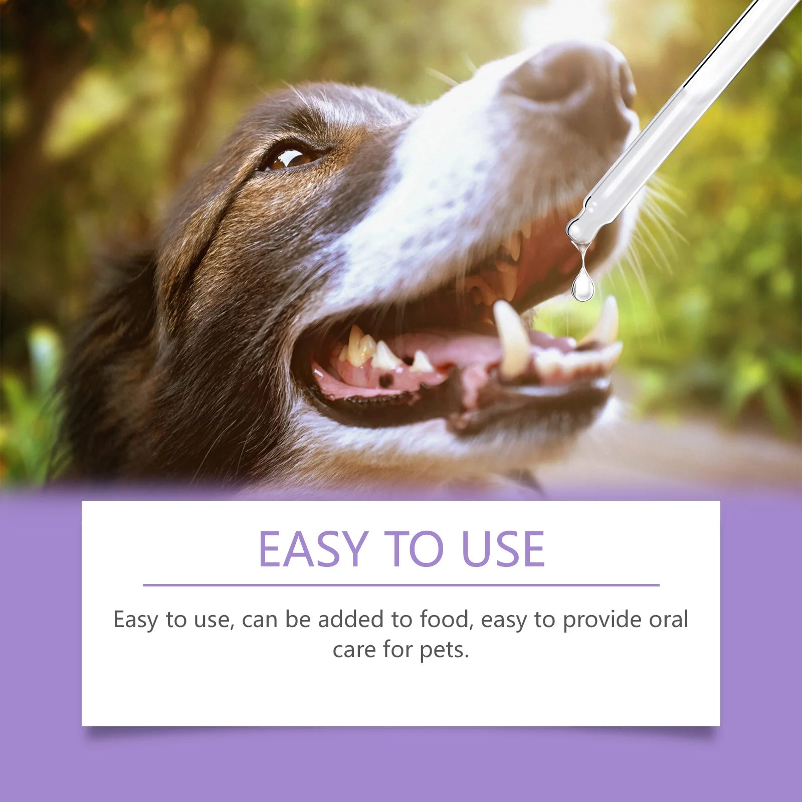 YEGBONG 50ml Pet Oral Spray – Fresh Breath, Plaque & Tartar Pet Dental Spray Oasis Select