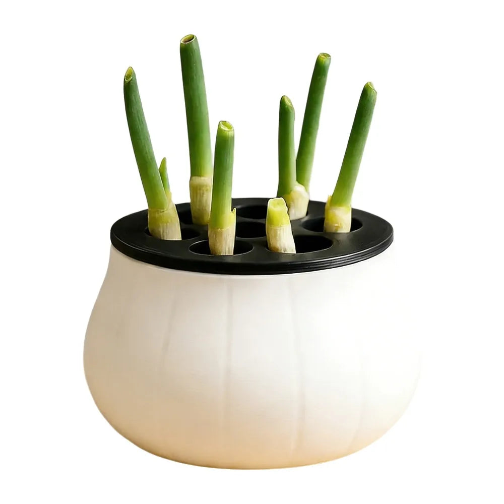 Vertical Hydroponic Green Onion Planter | 7-Hole Space-Saving Hydroponic Planter Oasis Select Black