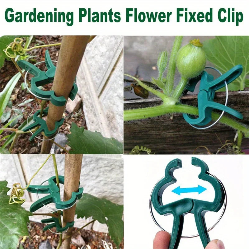 10/20PCS Adjustable Plant Fixed Clips Reusable Greenhouse Bracket Fixing Stems Flower Vine Tomatoes Fastener Garden Tool Oasis Select