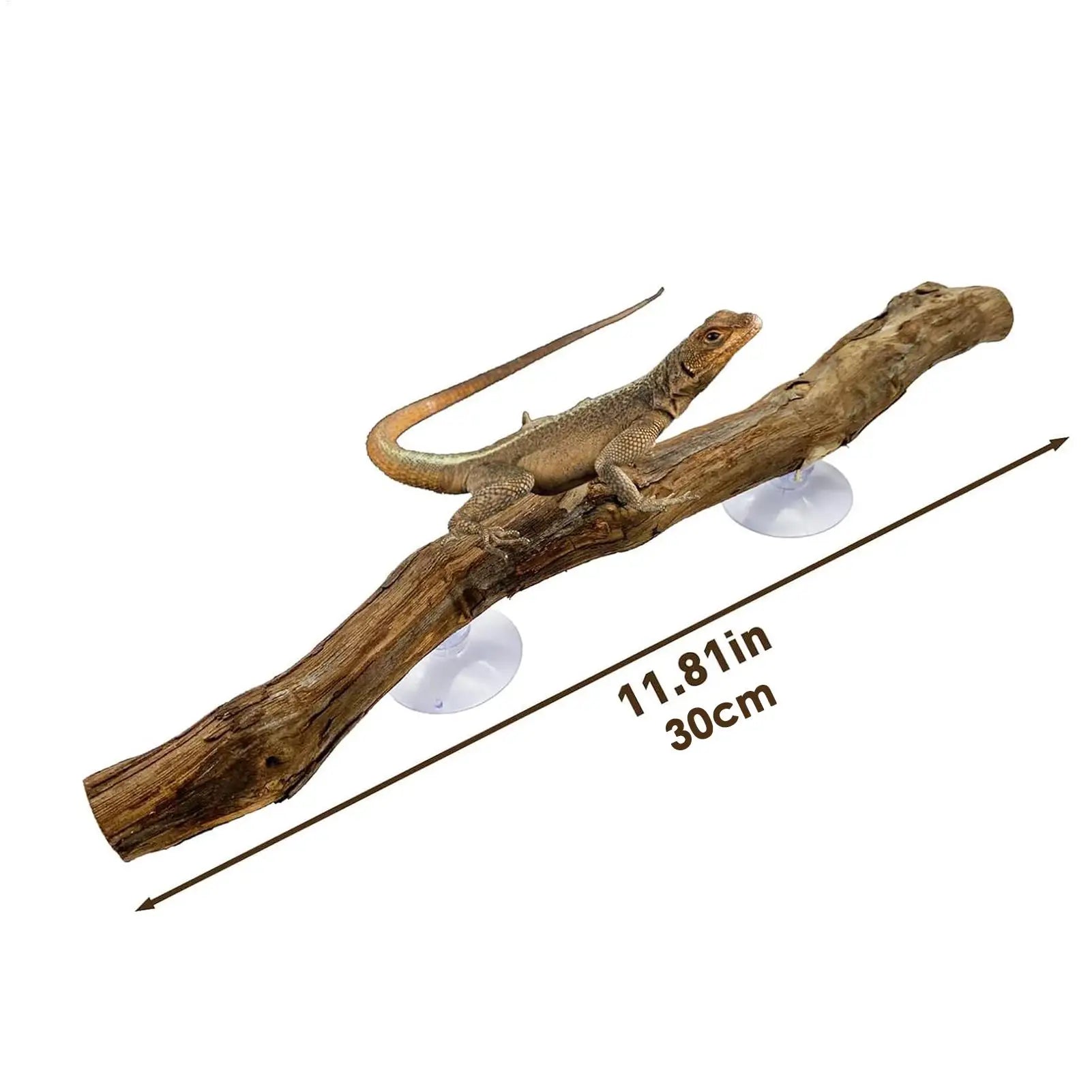Snake Climbing Branch Unique Snake Climbing Decor Natural Non-slip Habitat Decorations Reptile Decor for Bearded Dragon Snake Oasis Select