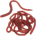 1bag/10pcs Predator Soft Lures Sea Fishing 18cm Silicone Earthworm Worm Wobbler Fake Baits Carp Trout Bass Fishing Oasis Select 10pc One Size