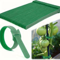 100Pcs Reusable 6 Inch Adjustable Nylon Plant Ties Non-Slip Hook and Loop Fasteners Garden Tape for Climbing Plants Support Oasis Select 100pcs