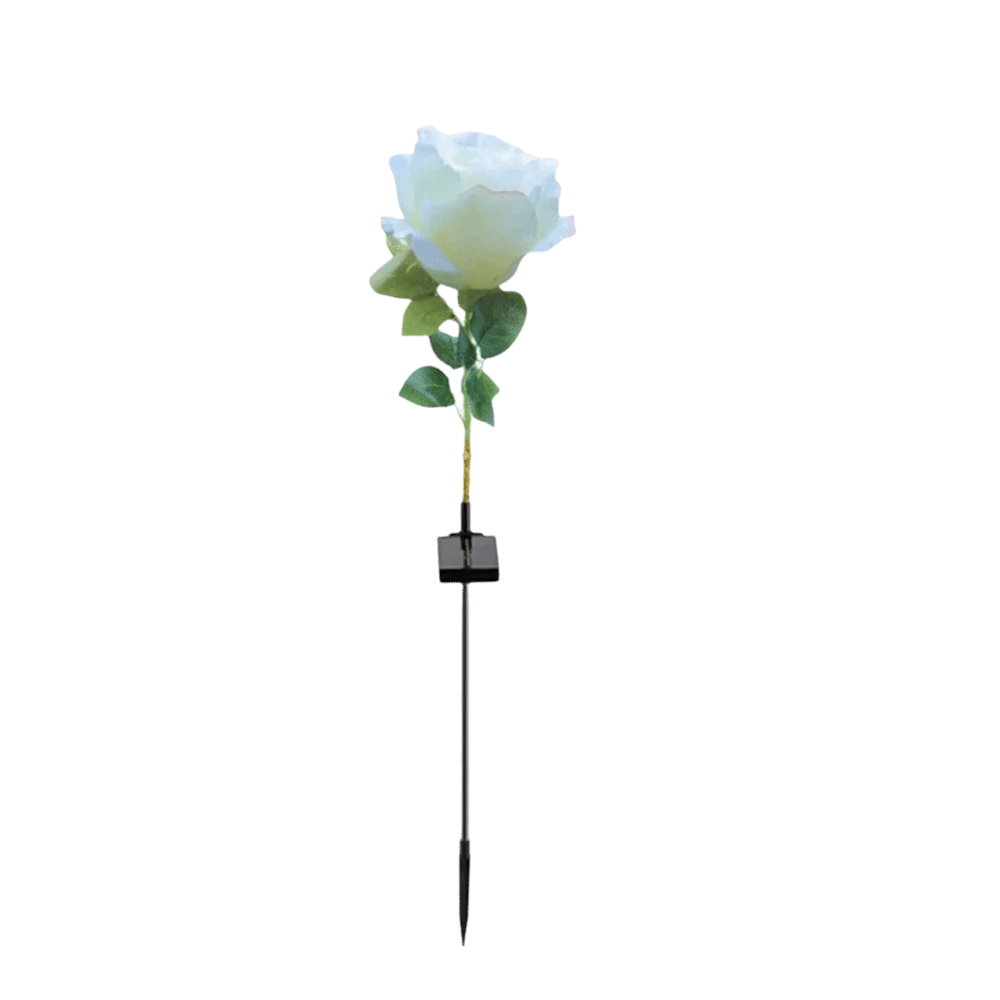 Solar Rose Garden Stake Light | 8 Modes, IP65, 80cm Tall