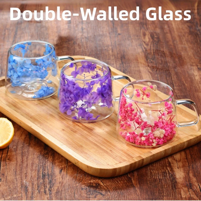 Double-Walled Glass Coffee Cup, Built-In Real Flower Design,Transparent Glass Coffee Cup for Hot & Cold Beverages, Tea, Latte Oasis Select