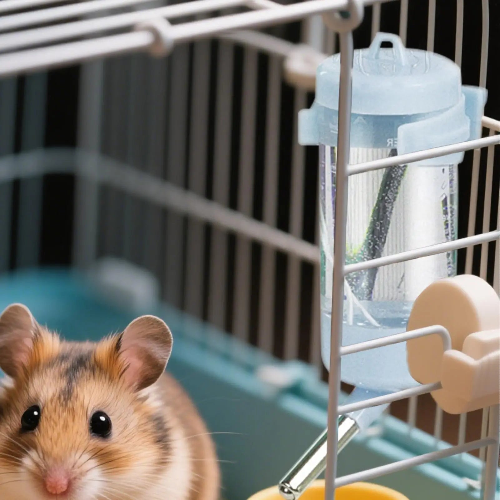 Plastic Hamster Drinking Bottle Hamster Cage 80ml Water Bottle Dispenser For Bunny Guinea Pig Squirrel Bunnies Small Pet Feeder Oasis Select