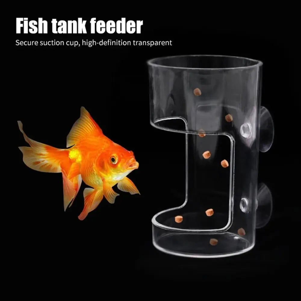 Acrylic Aquarium Feeders Ring Transparent Suction Cup Fish Tank Food Dispenser Fixed-Point Durable Floating Food Tray Feeder Oasis Select
