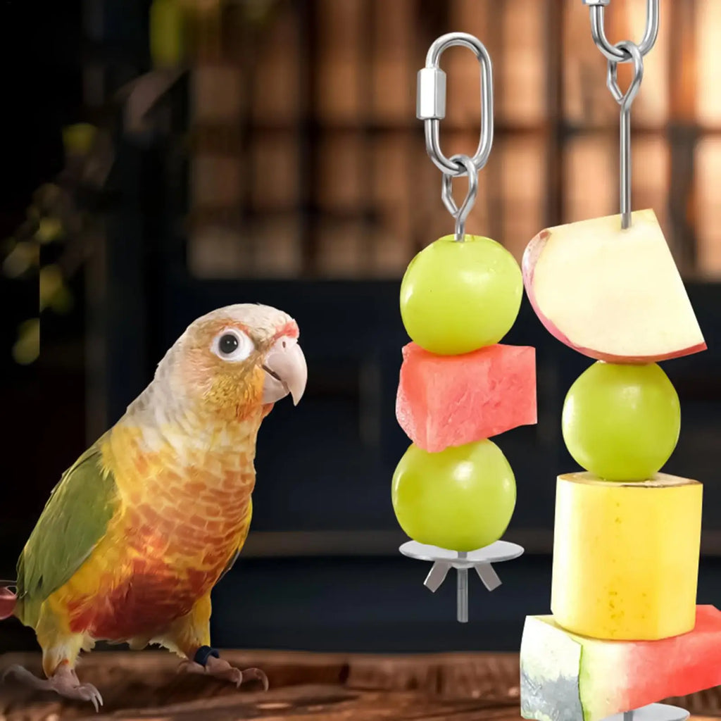 Bird Cage Food Skewer Stainless Fruit Stick Holder Bird Food Holder for Cage Foraging Macaw Parakeet Cockatiel Conure Finch Oasis Select