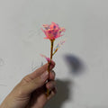 Pink Transparent Artificial Forever Rose Decorative Plastic Rose for Wedding Party Home Decoration Oasis Select Pink-18x7x3 cm