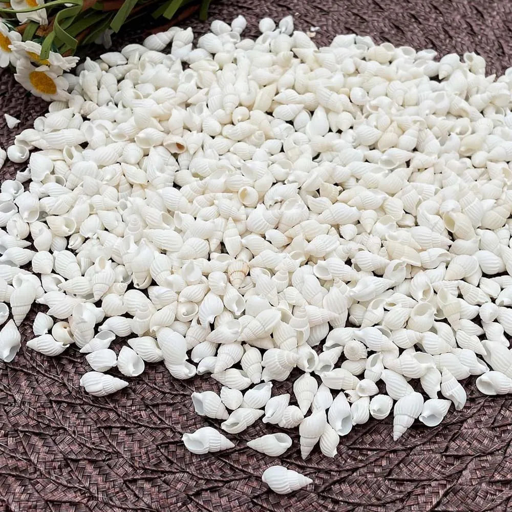 About 100pcs Natural White Beach Sea Shell BeadsTrumpet Spiral Seashells for DIY Craft Jewelry Making Wedding Party Home Decor Oasis Select