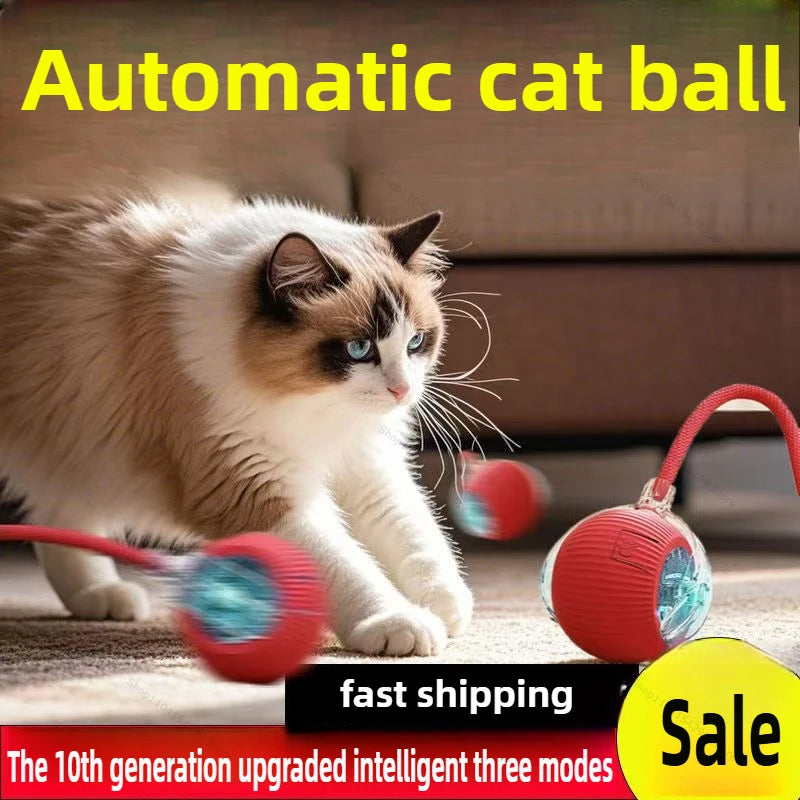Interactive Toys for Cats Rechargeable Cat Exercise Wheel Interactive Cat Motion Toy Cat Pet Interaction Automatic Rolling Ball Oasis Select