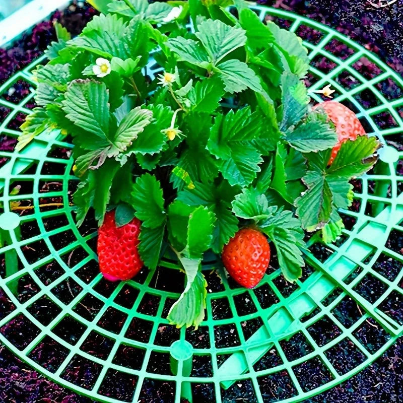 6/12pcs Green PVC Strawberry Support Cage for Vegetable Garden - 3-Legged Plant Protector, and Rot, Easy Assembly Oasis Select
