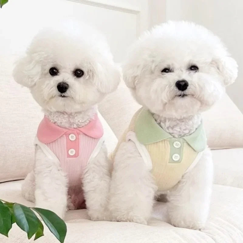 Autumn Pet Dog Polo Shirt Breathable Dog Clothes Fashion Puppy Vest Cute Solid Cat Shirt Soft Pet Costumes Macaroon Color Oasis Select